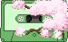 Cassette